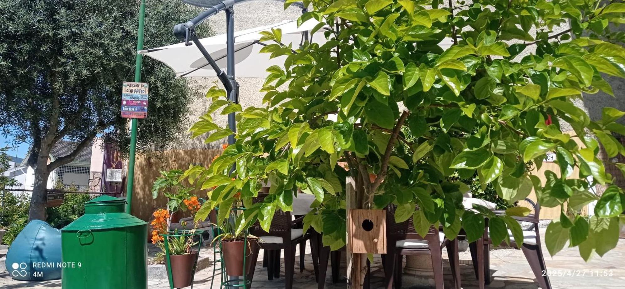 Alojamento local Os Maias Mirandela Exterior foto